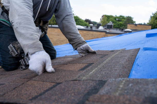 Best Roof Gutter Cleaning  in Ringgold, GA